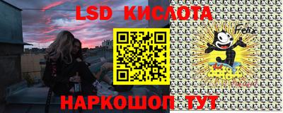 шишки Заводоуковск