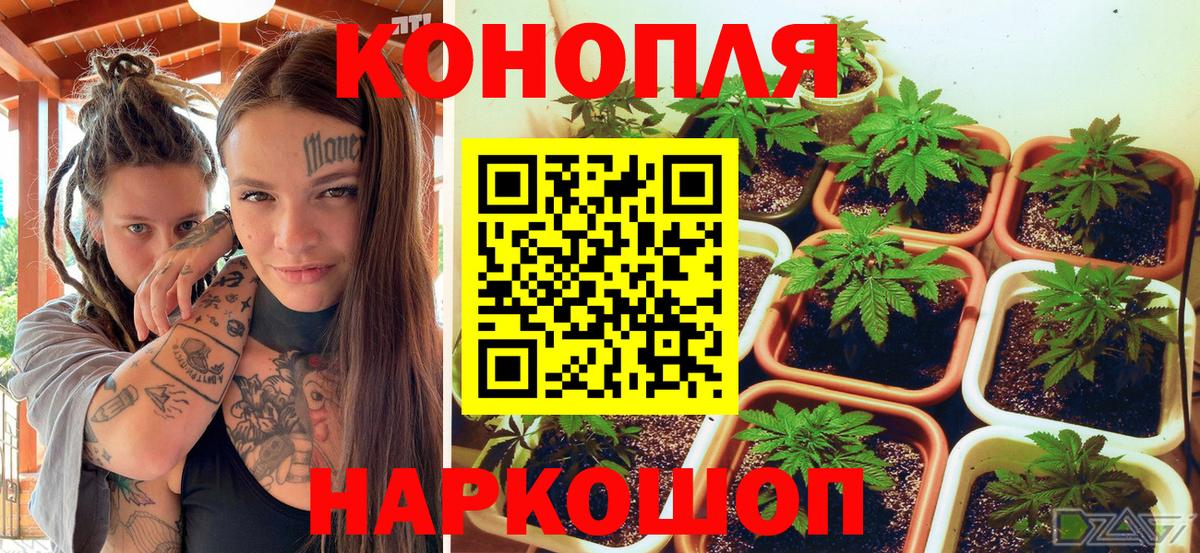 Владимир  Бошки Шишки MAZAR  Каннабис White Widow  Канабис ГИДРОПОН  Вход с VPN 